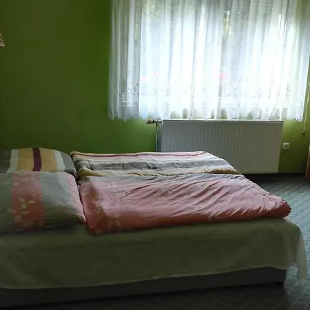 Szanto Apartman Appartamento *
